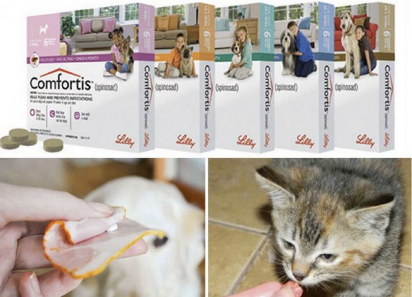 Комфортис для кошек и собак