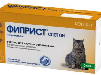«Фиприст» для кошек: уничтожение клещей, власоедов, блох и других паразитов у котов