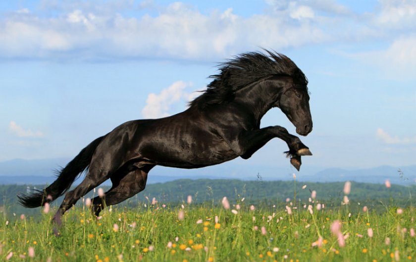 Карачаевская