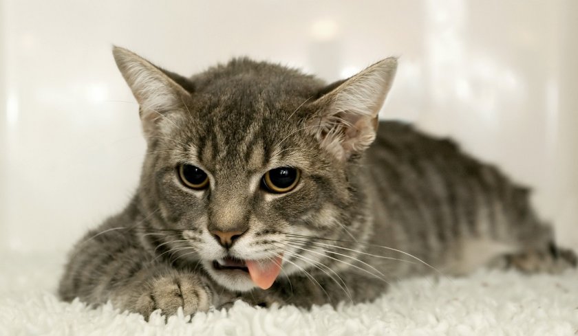 Побочные эффекты и противопоказания Побочные эффекты и противопоказания