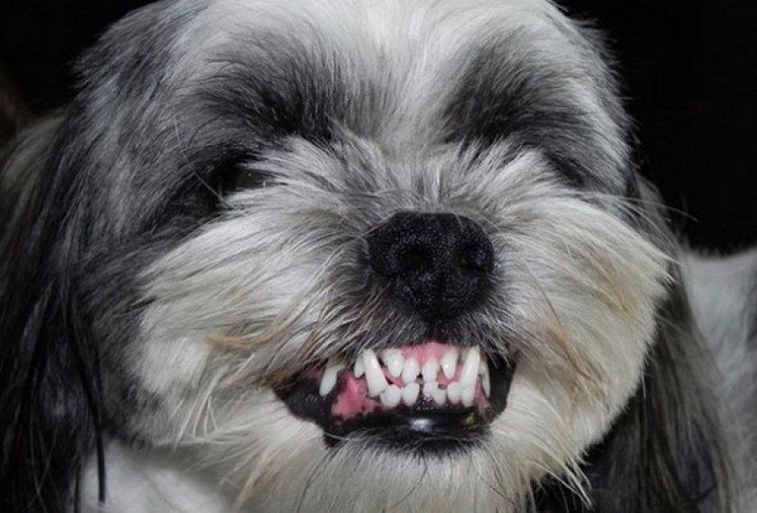 Уход за зубами Уход за зубами