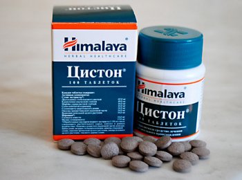 Как давать «Цистон» кошкам?