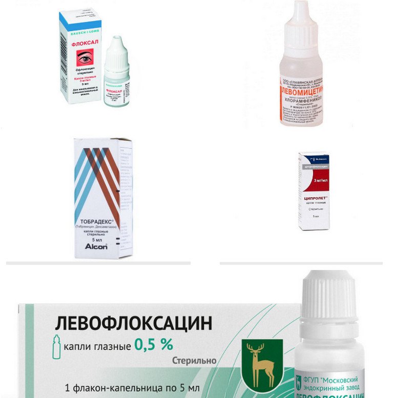 «Тобрекс» для кошек: глазные капли для котят, инструкция по применению ...