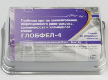 Как колоть сыворотку «Глобфел-4» кошке?
