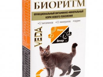 Основные особенности витаминов «Биоритм» для кошек
