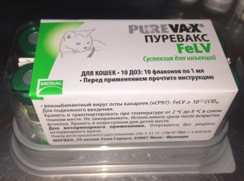 Как давать вакцину «Пуревакс» кошкам?