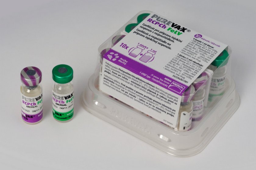 Purevax RCPCh Purevax RCPCh