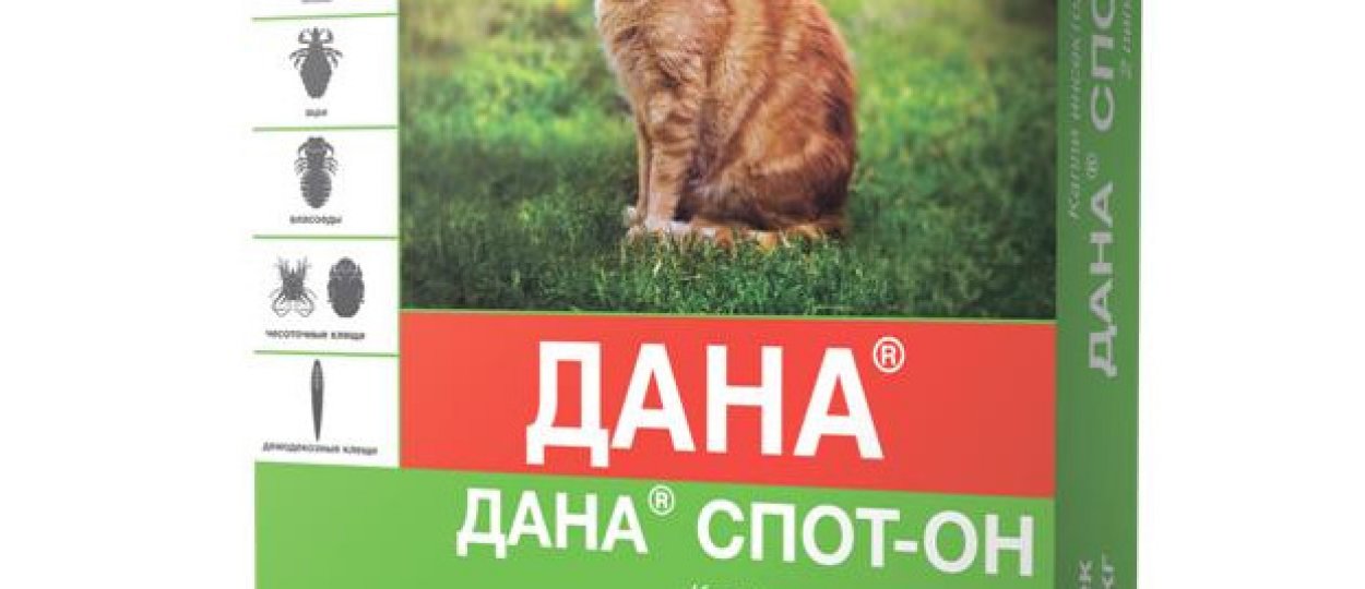 «Дана Спот-Он» для кошек: инструкция по применению, химический состав ...