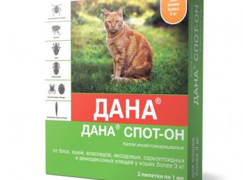 Основные особенности капель «Дана Спот-Он» для кошек