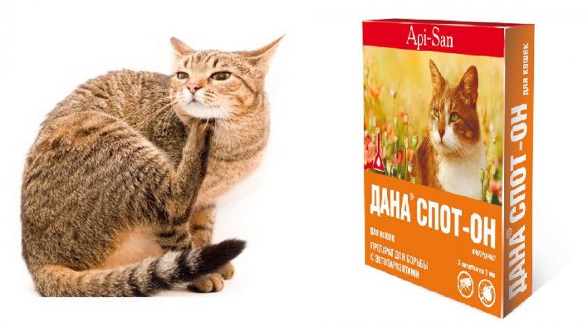 Препарат Дана Спот Он для кошек