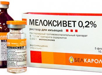 Особенности препарата «Мелоксивет» для кошек