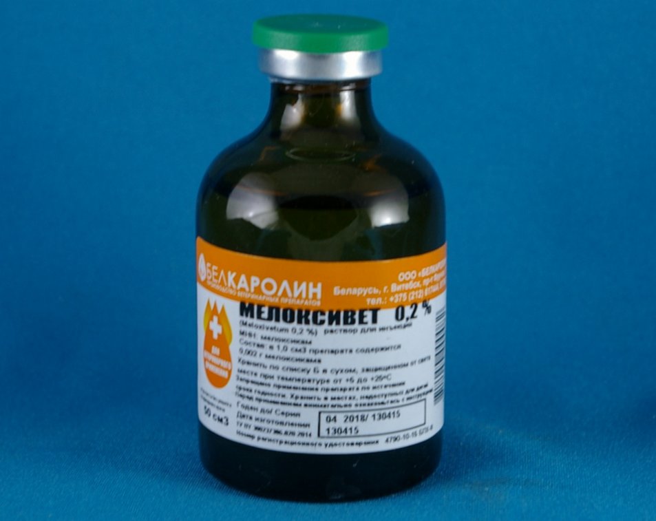 «Мелоксивет» для кошек: инструкция по применению, дозировка