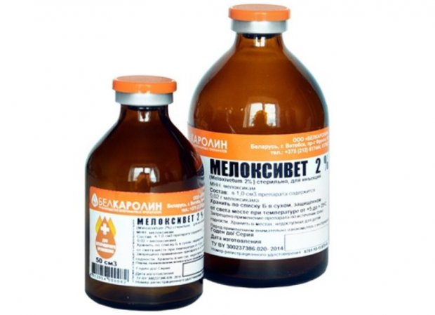 «Мелоксивет» для кошек «Мелоксивет» для кошек