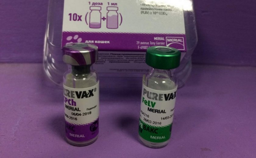 Вакцина Пуревакс