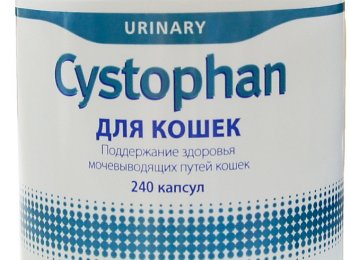 Как давать коту препарат «Цистофан»?