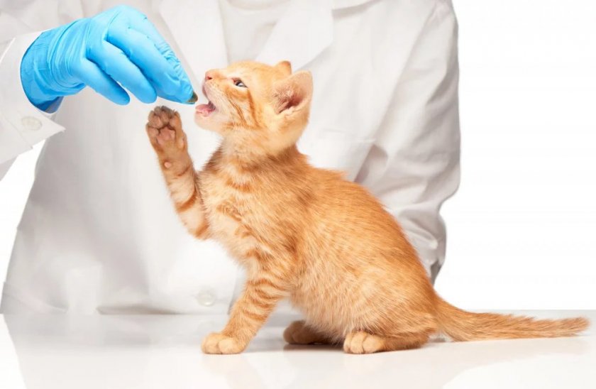 Применение препарата Цистофан