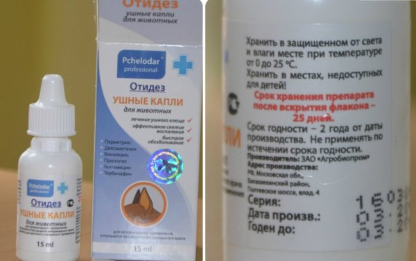 Капли ушные «Отидез» для кошек: инструкция по применению, цена