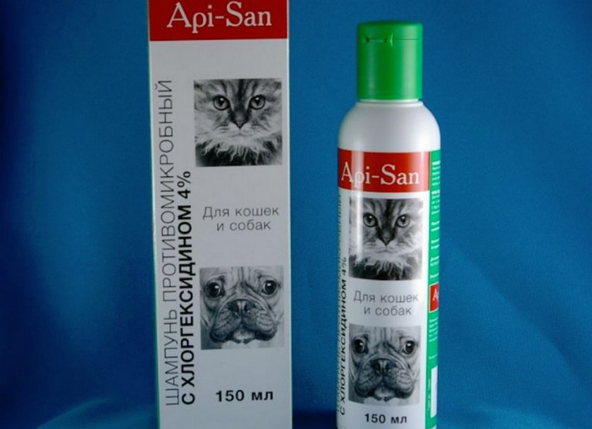 Шампунь с хлоргексидином для кошек