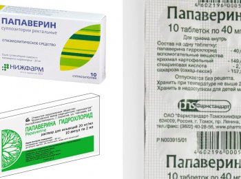 Как давать кошке «Папаверин»?