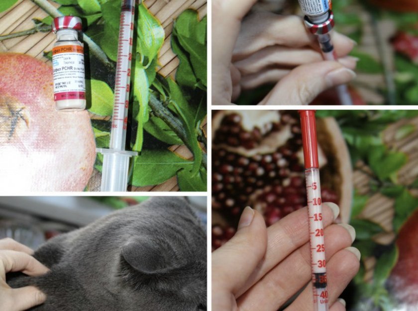 Вакцина Биофел