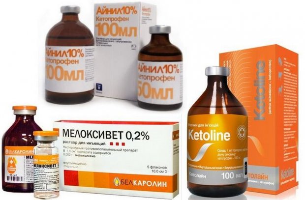 «Мелоксивет» для кошек «Мелоксивет» для кошек