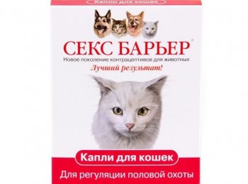 Как давать коту препарат «Секс барьер»