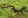 Лузитанская саламандра
