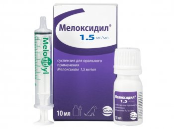 Как давать кошкам препарат «Мелоксидил»?