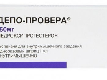 Как давать кошке препарат «Депо-Провера»