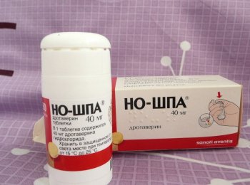 Можно ли давать коту «Но-шпу»?