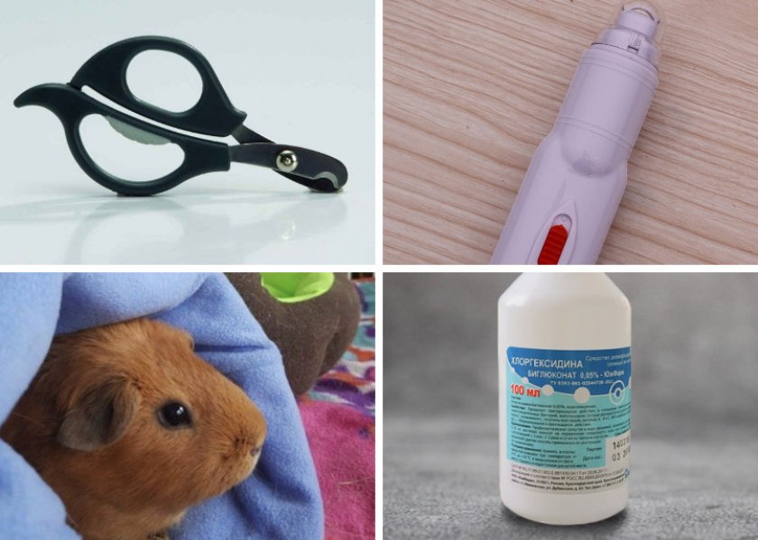 Предметы для стрижки ногтей Предметы для стрижки ногтей