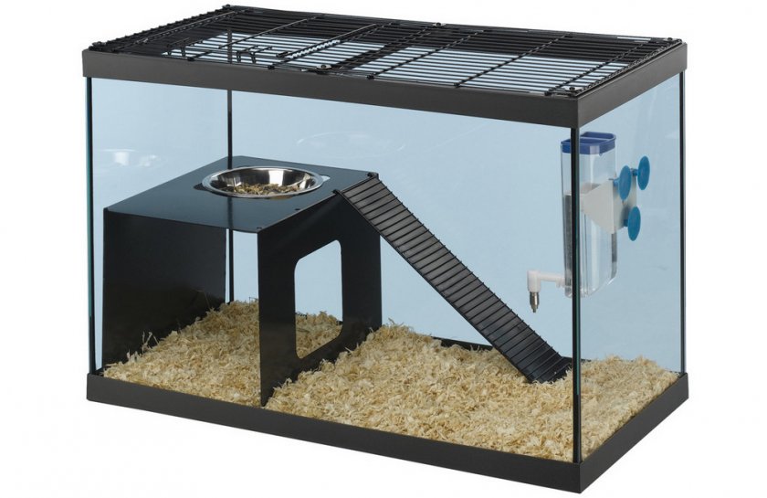 Аквариум для морской свинки Аквариум для морской свинки