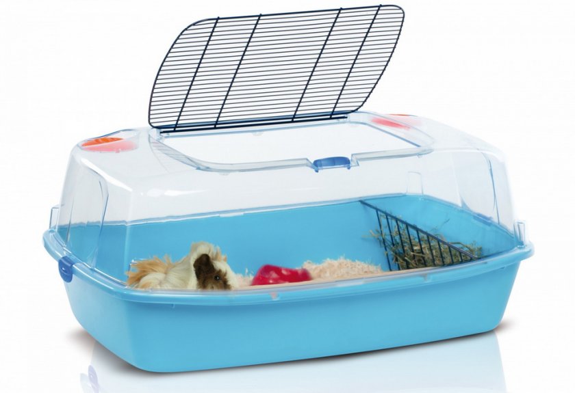 Дюна для морской свинки Дюна для морской свинки