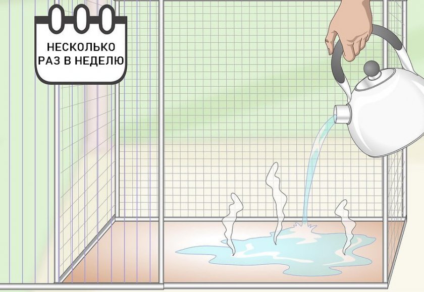 Влажная уборка клетки шиншиллы