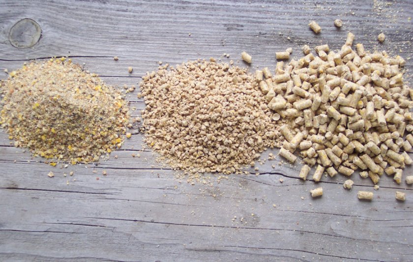Измельчённые гранулы корма