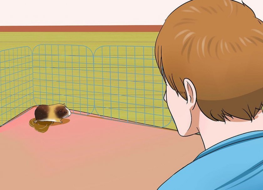 Выбор места для лотка