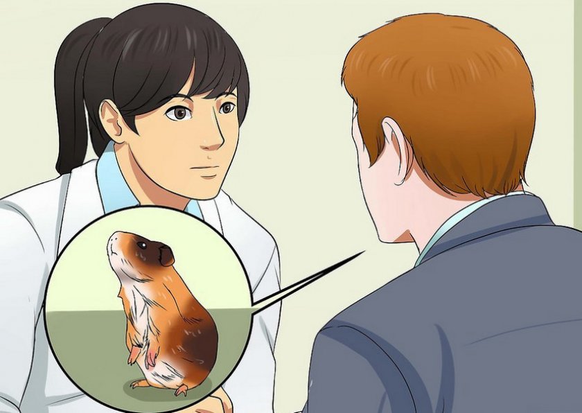 Обращение к специалисту