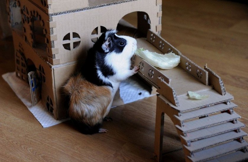 Домик из картона