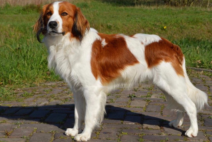 Коикерхондье Коикерхондье