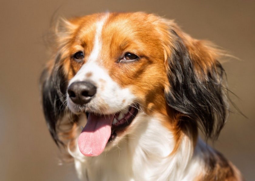 Коикерхондье Коикерхондье