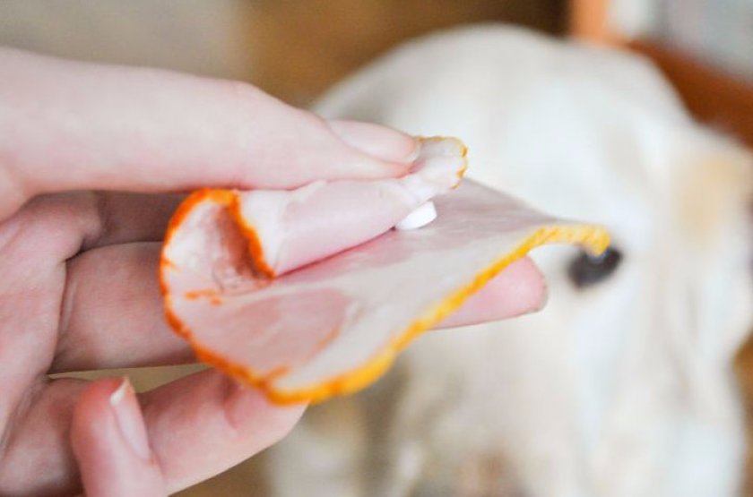 Капсулы дают с обычной едой