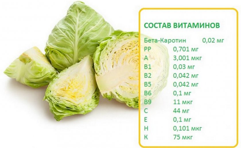 Состав капусты Состав капусты