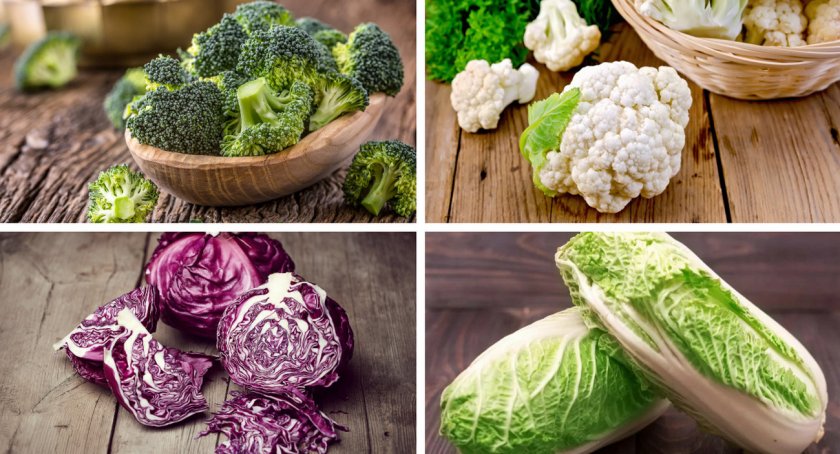 Виды капусты Виды капусты