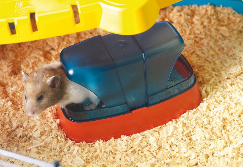 Лоток для хомячка
