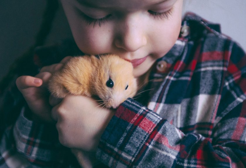 Ребёнок с хомяком