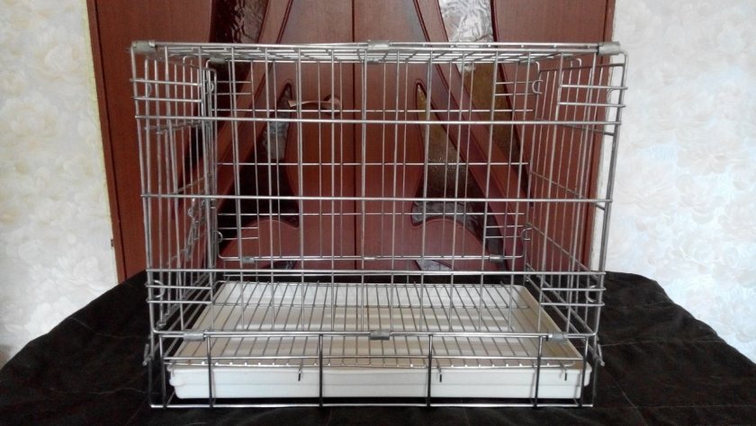 Клетка с поддоном