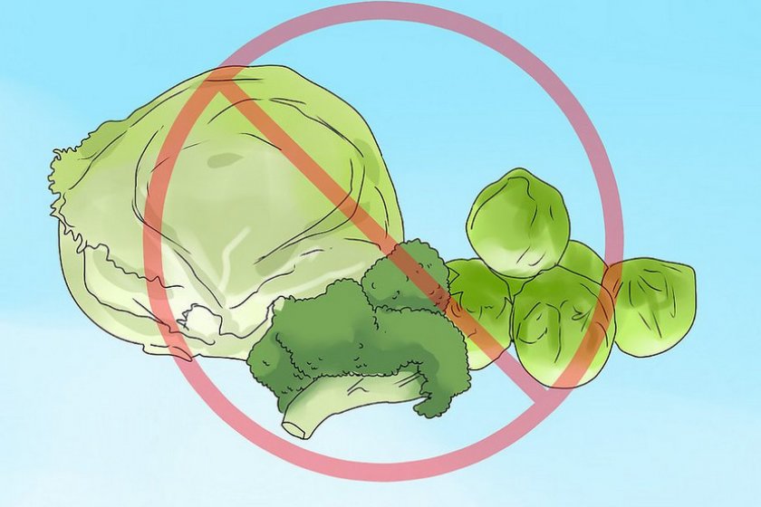 Запрещенные продукты для грызуна