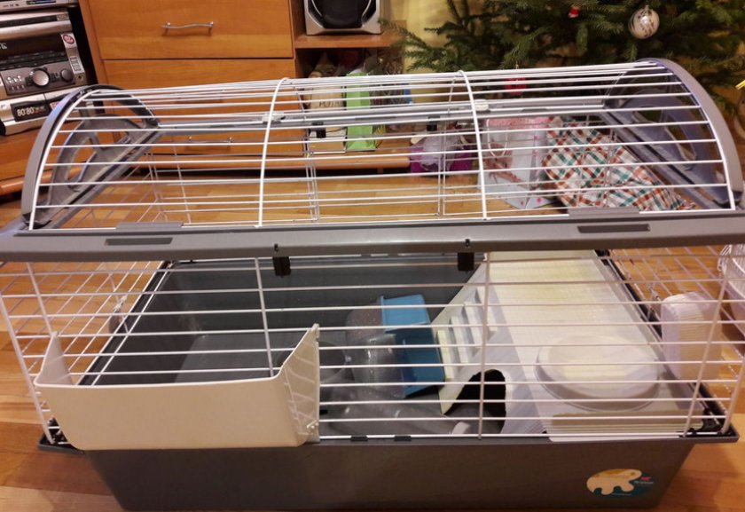 Клетка для грызуна Клетка для грызуна