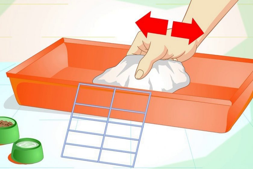 Чистка клетки морской свинки