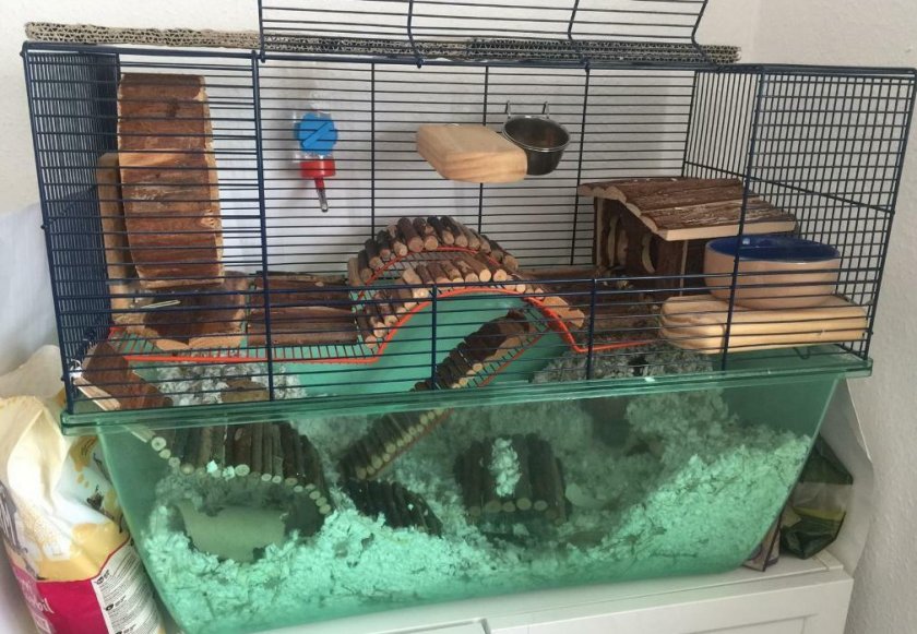 Клетка для песчанки